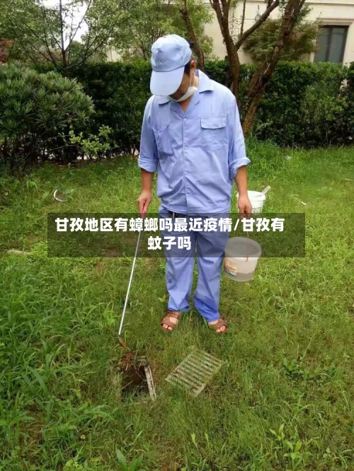 甘孜地区有蟑螂吗最近疫情/甘孜有蚊子吗