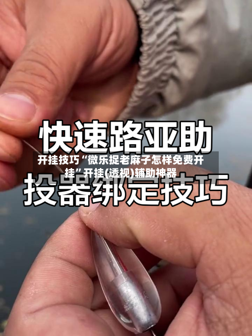 开挂技巧“微乐捉老麻子怎样免费开挂”开挂(透视)辅助神器
