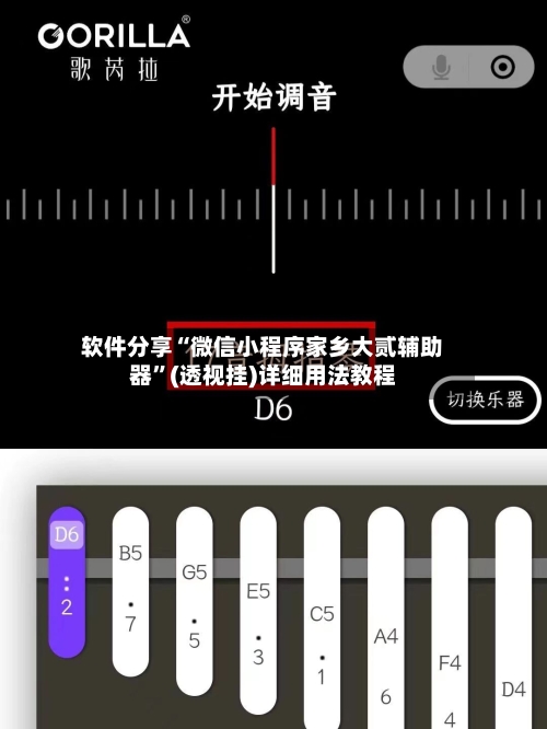 软件分享“微信小程序家乡大贰辅助器”(透视挂)详细用法教程