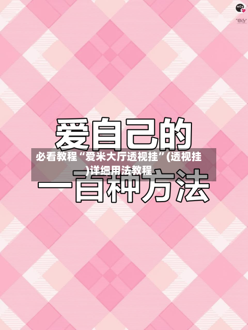 必看教程“爱米大厅透视挂”(透视挂)详细用法教程-第3张图片
