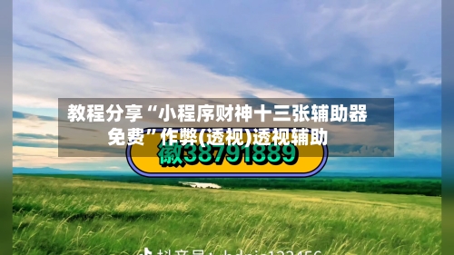 教程分享“小程序财神十三张辅助器免费	”作弊(透视)透视辅助-第2张图片