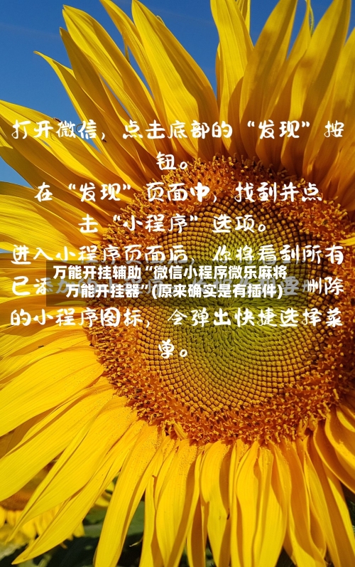 万能开挂辅助“微信小程序微乐麻将万能开挂器”(原来确实是有插件)-第2张图片