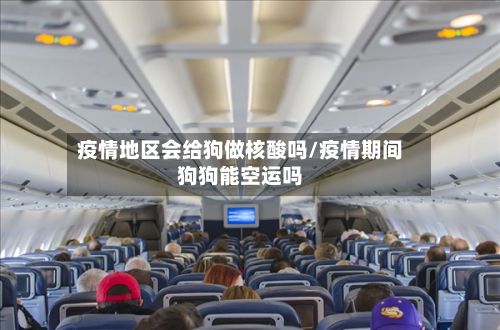 疫情地区会给狗做核酸吗/疫情期间狗狗能空运吗-第3张图片