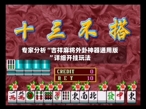 专家分析“吉祥麻将外卦神器通用版”详细开挂玩法-第2张图片