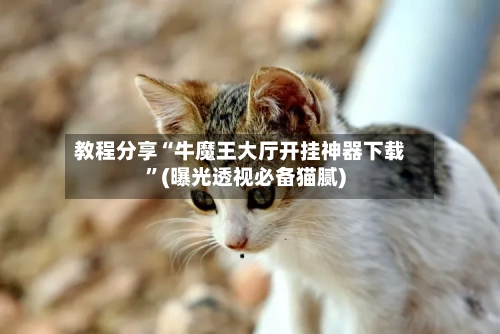 教程分享“牛魔王大厅开挂神器下载	”(曝光透视必备猫腻)-第2张图片