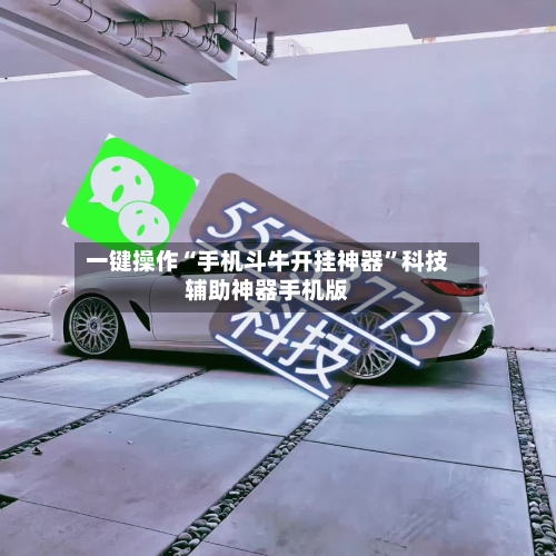 一键操作“手机斗牛开挂神器”科技辅助神器手机版-第2张图片