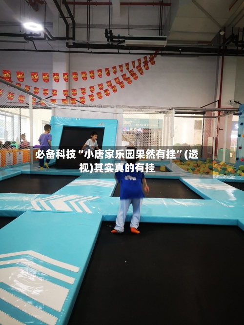 必备科技“小唐家乐园果然有挂”(透视)其实真的有挂-第2张图片