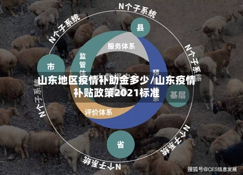 山东地区疫情补助金多少/山东疫情补贴政策2021标准