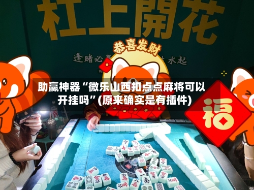 助赢神器“微乐山西扣点点麻将可以开挂吗”(原来确实是有插件)-第3张图片