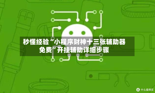 秒懂经验“小程序财神十三张辅助器免费”开挂辅助详细步骤-第2张图片