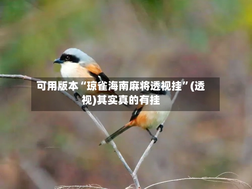 可用版本“琼雀海南麻将透视挂”(透视)其实真的有挂-第2张图片