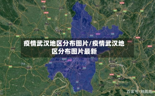 疫情武汉地区分布图片/疫情武汉地区分布图片最新