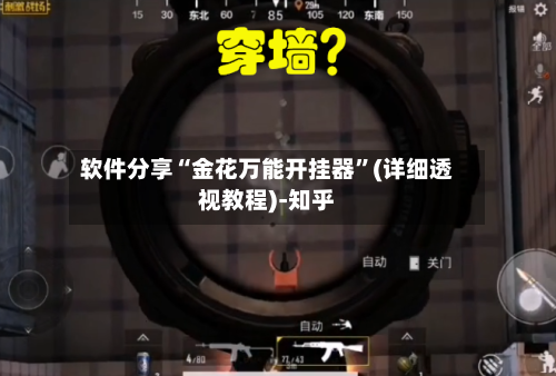 软件分享“金花万能开挂器”(详细透视教程)-知乎