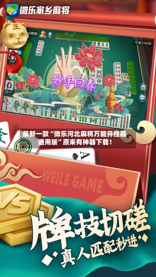 最新一款“微乐河北麻将万能开挂器通用版”原来有神器下载！-第3张图片