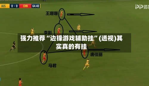 强力推荐“边锋游戏辅助挂”(透视)其实真的有挂-第2张图片