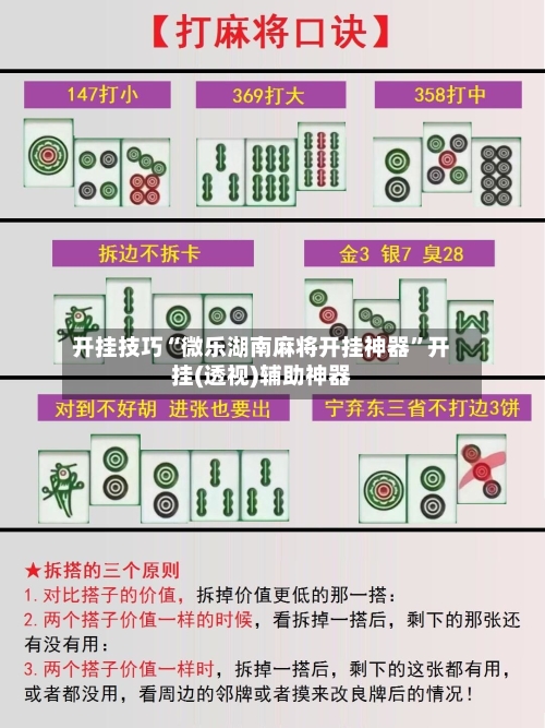 开挂技巧“微乐湖南麻将开挂神器	”开挂(透视)辅助神器-第2张图片