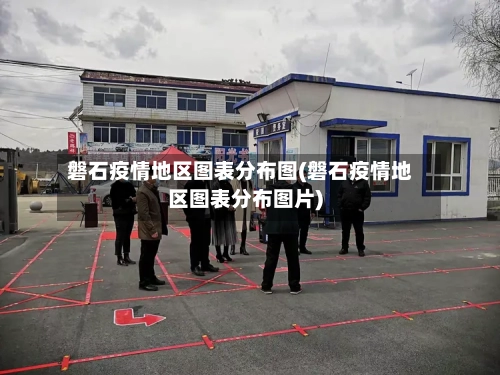 磐石疫情地区图表分布图(磐石疫情地区图表分布图片)