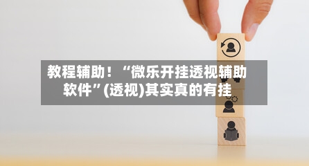 教程辅助！“微乐开挂透视辅助软件”(透视)其实真的有挂