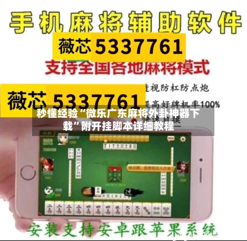 秒懂经验“微乐广东麻将外卦神器下载”附开挂脚本详细教程-第3张图片