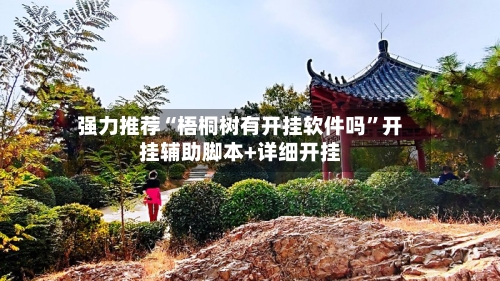 强力推荐“梧桐树有开挂软件吗”开挂辅助脚本+详细开挂-第3张图片