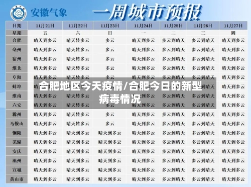 合肥地区今天疫情/合肥今日的新型病毒情况-第2张图片