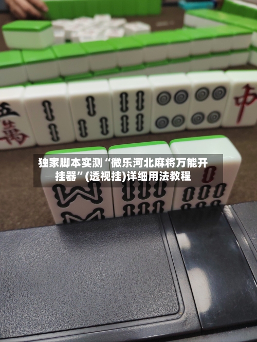 独家脚本实测“微乐河北麻将万能开挂器”(透视挂)详细用法教程-第2张图片