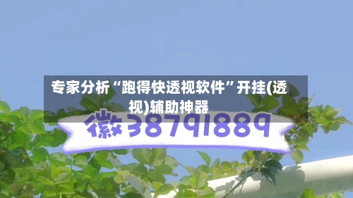 专家分析“跑得快透视软件”开挂(透视)辅助神器-第3张图片