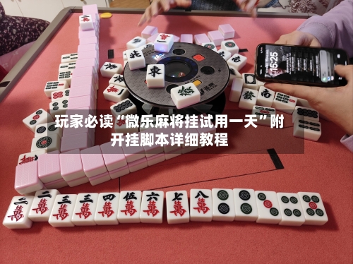 玩家必读“微乐麻将挂试用一天”附开挂脚本详细教程-第3张图片