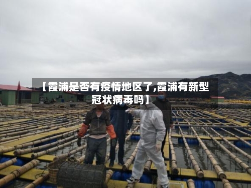 【霞浦是否有疫情地区了,霞浦有新型冠状病毒吗】-第2张图片