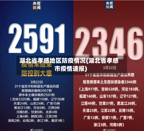 湖北省孝感地区防疫情况(湖北省孝感市疫情速报)-第2张图片