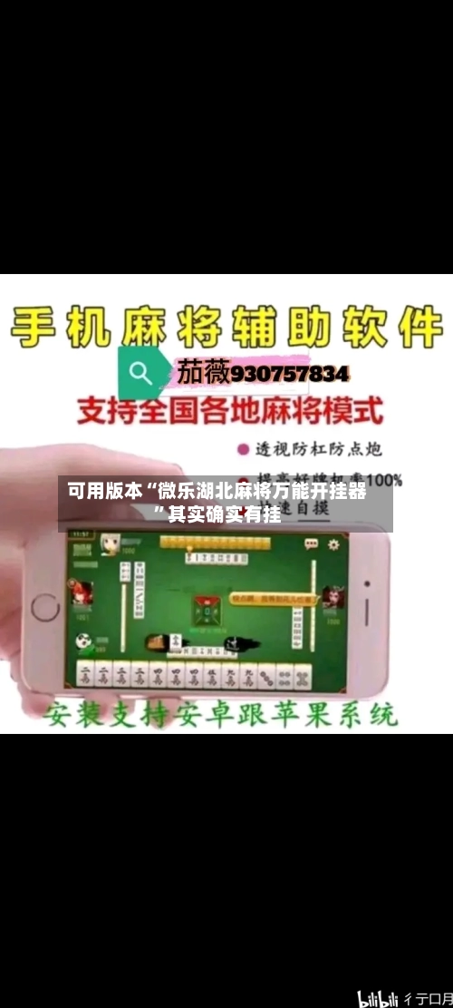 可用版本“微乐湖北麻将万能开挂器	”其实确实有挂-第2张图片