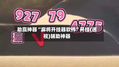 助赢神器“麻将开挂器软件”开挂(透视)辅助神器-第2张图片