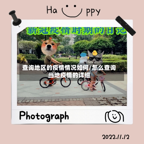 查询地区的疫情情况如何/怎么查询当地疫情的详细