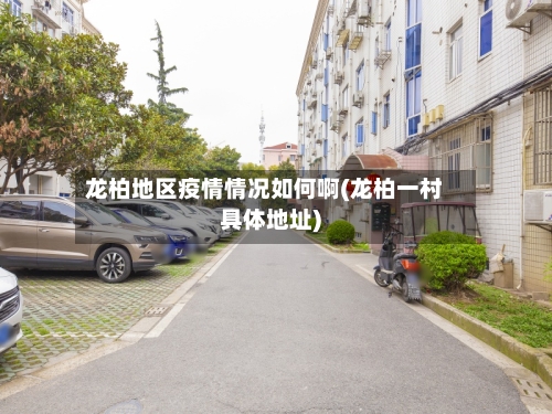 龙柏地区疫情情况如何啊(龙柏一村具体地址)