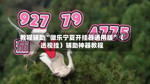 教程辅助“微乐宁夏开挂器通用版”（透视挂）辅助神器教程