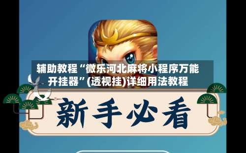 辅助教程“微乐河北麻将小程序万能开挂器”(透视挂)详细用法教程-第2张图片