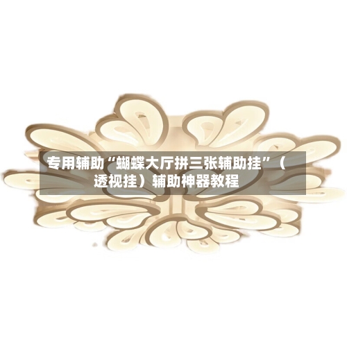 专用辅助“蝴蝶大厅拼三张辅助挂”（透视挂）辅助神器教程