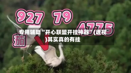 专用辅助“开心联盟开挂神器”(透视)其实真的有挂-第2张图片