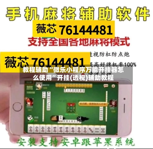 教程辅助“微乐小程序万能开挂器怎么使用”开挂(透视)辅助教程-第3张图片