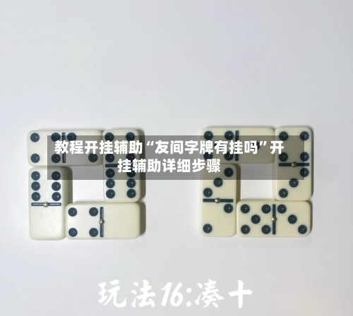 教程开挂辅助“友间字牌有挂吗”开挂辅助详细步骤-第2张图片