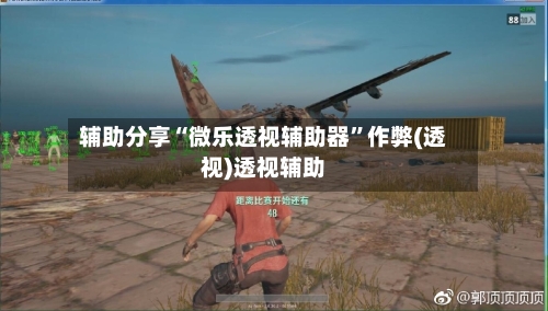 辅助分享“微乐透视辅助器”作弊(透视)透视辅助-第2张图片