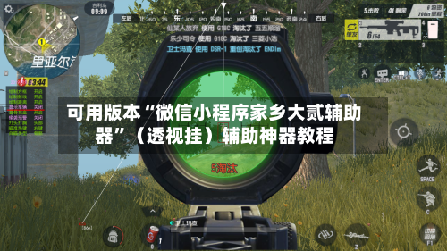 可用版本“微信小程序家乡大贰辅助器”（透视挂）辅助神器教程-第2张图片