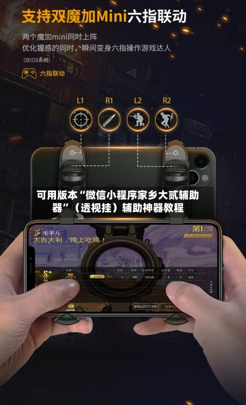 可用版本“微信小程序家乡大贰辅助器”（透视挂）辅助神器教程