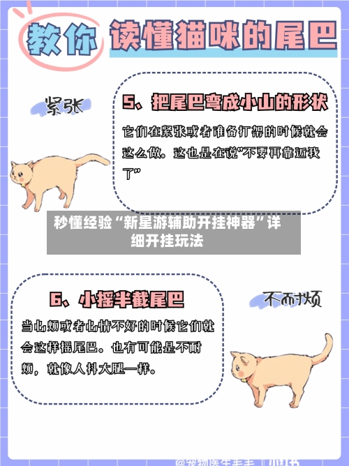 秒懂经验“新星游辅助开挂神器	”详细开挂玩法-第2张图片