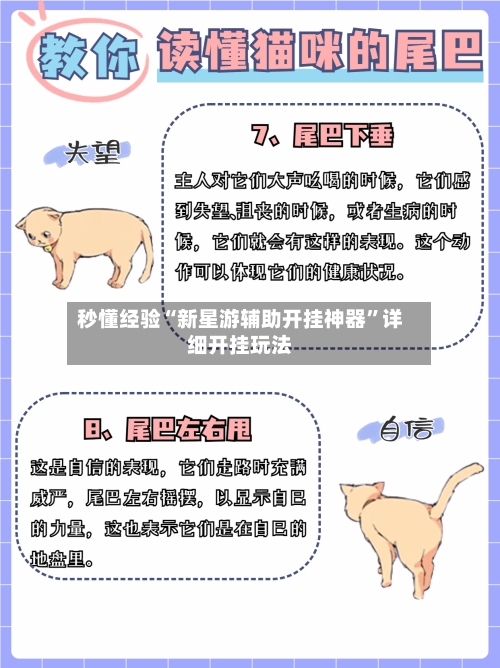 秒懂经验“新星游辅助开挂神器”详细开挂玩法