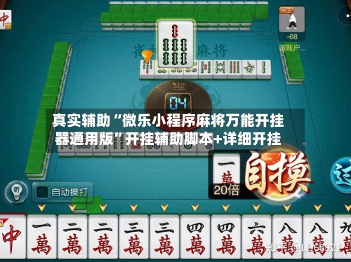 真实辅助“微乐小程序麻将万能开挂器通用版”开挂辅助脚本+详细开挂-第2张图片