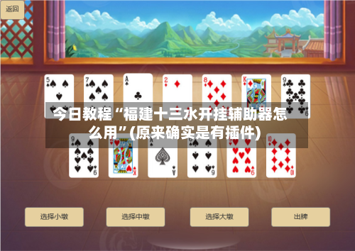 今日教程“福建十三水开挂辅助器怎么用”(原来确实是有插件)-第2张图片