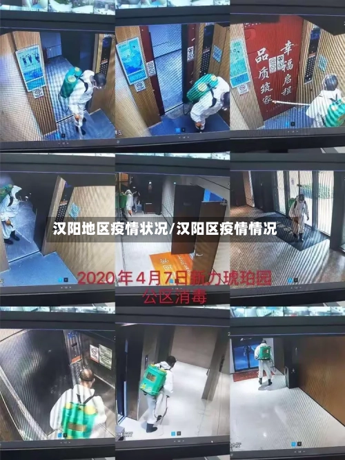 汉阳地区疫情状况/汉阳区疫情情况-第2张图片