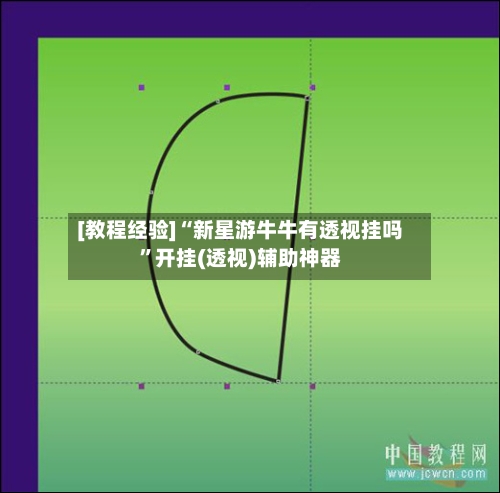 [教程经验]“新星游牛牛有透视挂吗	”开挂(透视)辅助神器-第2张图片