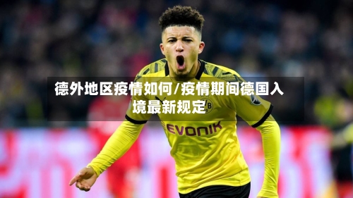 德外地区疫情如何/疫情期间德国入境最新规定